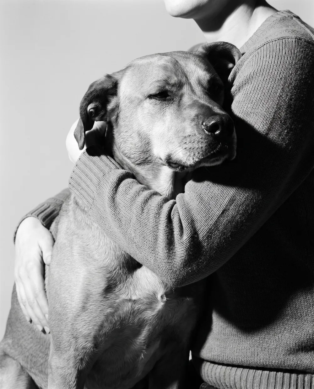 Tutor de suéter abraçando um cachorro caramelo de olhos fechados